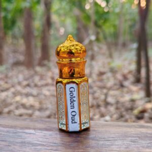 WhatsApp Image 2026-02-20 at 2.28.39 PM (3)